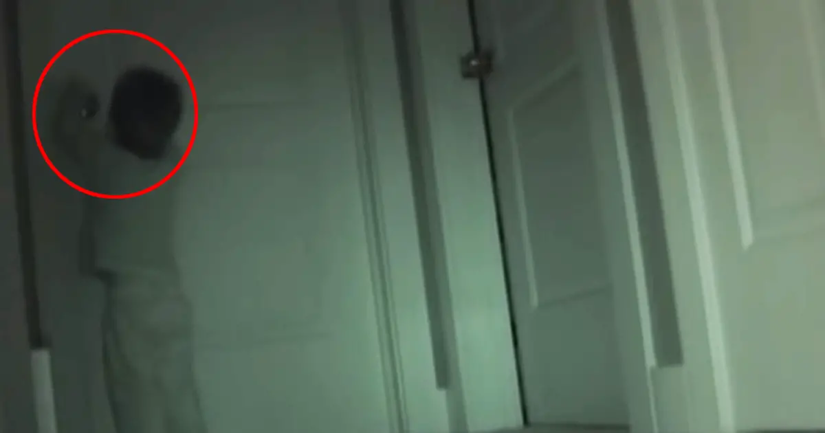 Toddler Sneaks Into His Sister's Room Every Night, Then Parents Capture ...