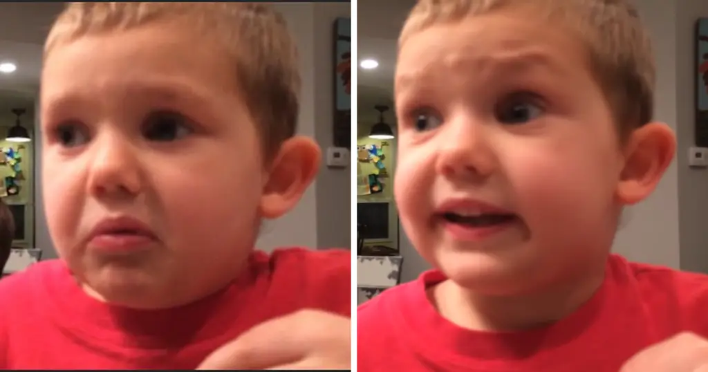 4-year Old Boy Hilariously Argues with His Dad About Not Wanting to Get ...