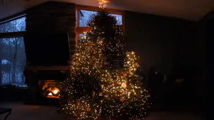 I Thought This Was A Normal Christmas Tree. But Watch When The Lights