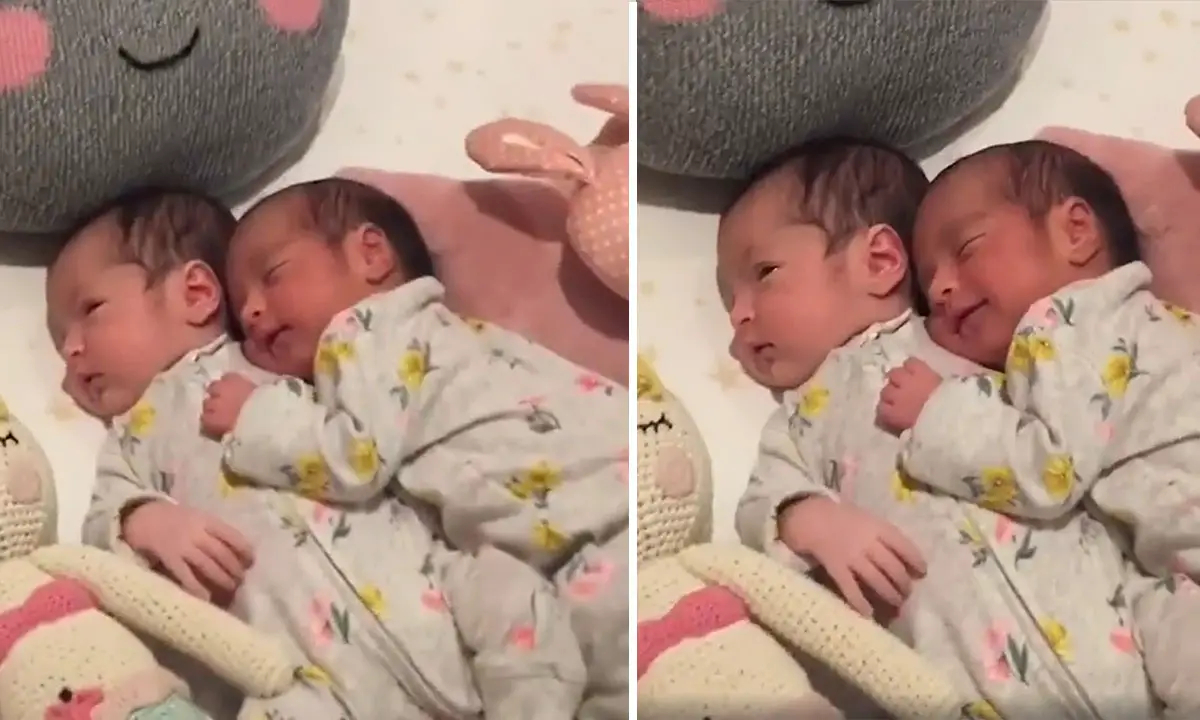 If Anyone Doubts That Twins Cuddle In The Womb, This Video Will Prove ...