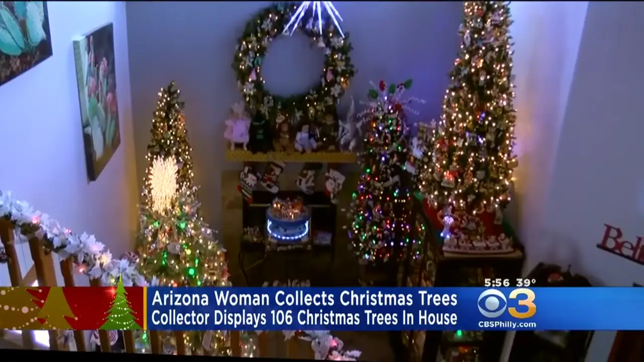 Arizona Woman Collects Christmas Trees 0-7 screenshot