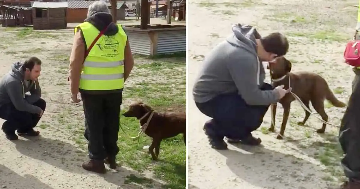 dog-reunion-with-owner