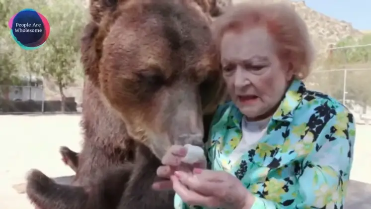 99 Yr Old Woman Ignoring All the Warnings, Approaches This Giant ...