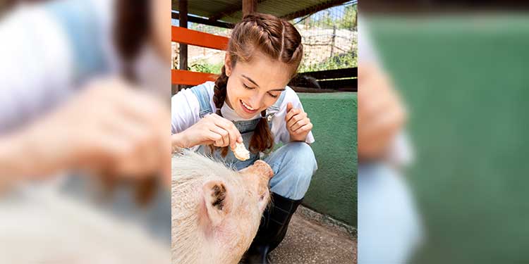 Woman Playing With Pig